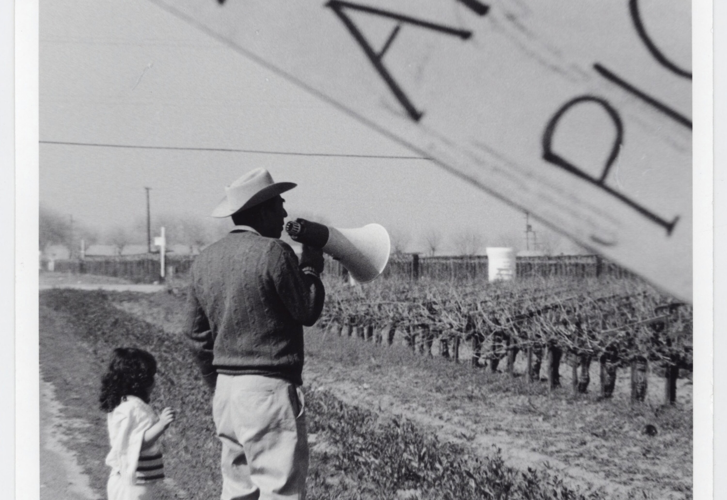 united farm workers strike