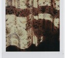 Jonathan Williams, [Polaroid photo of cat in window], undated. By Permission of Jargon Books/Jonathan Williams Estate.