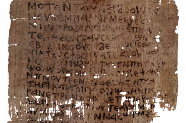 Close up image of a piece of papyrus