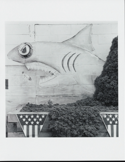 Mike's Bait & Tackle photograph by David Plowden