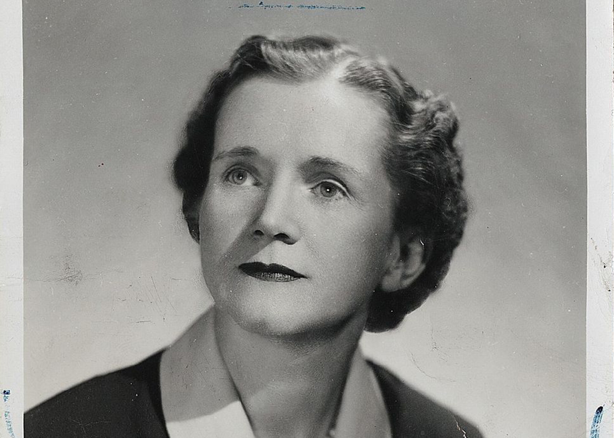 An Early Climate Advocate: Notecards in the Rachel Carson Papers | Beinecke Rare Book & Manuscript Library