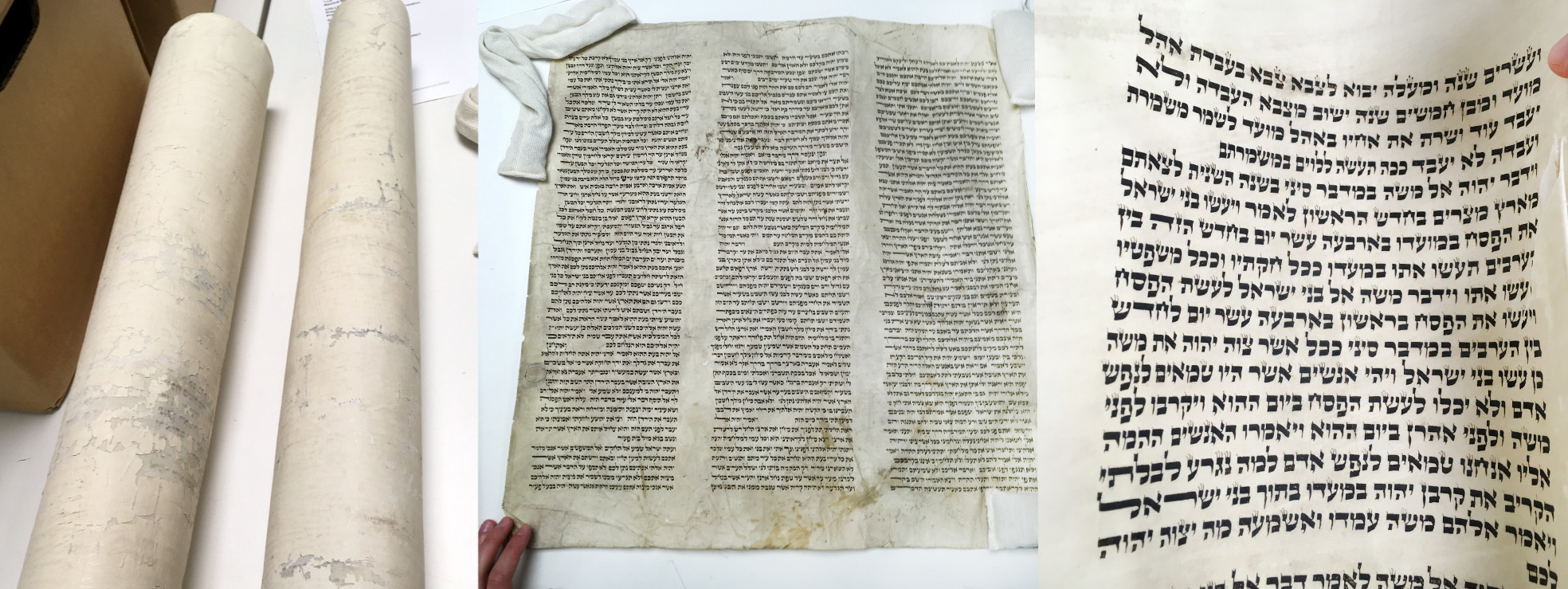 Recent Acquisition: Sefer Torah Scroll Fragments | Beinecke Rare Book ...