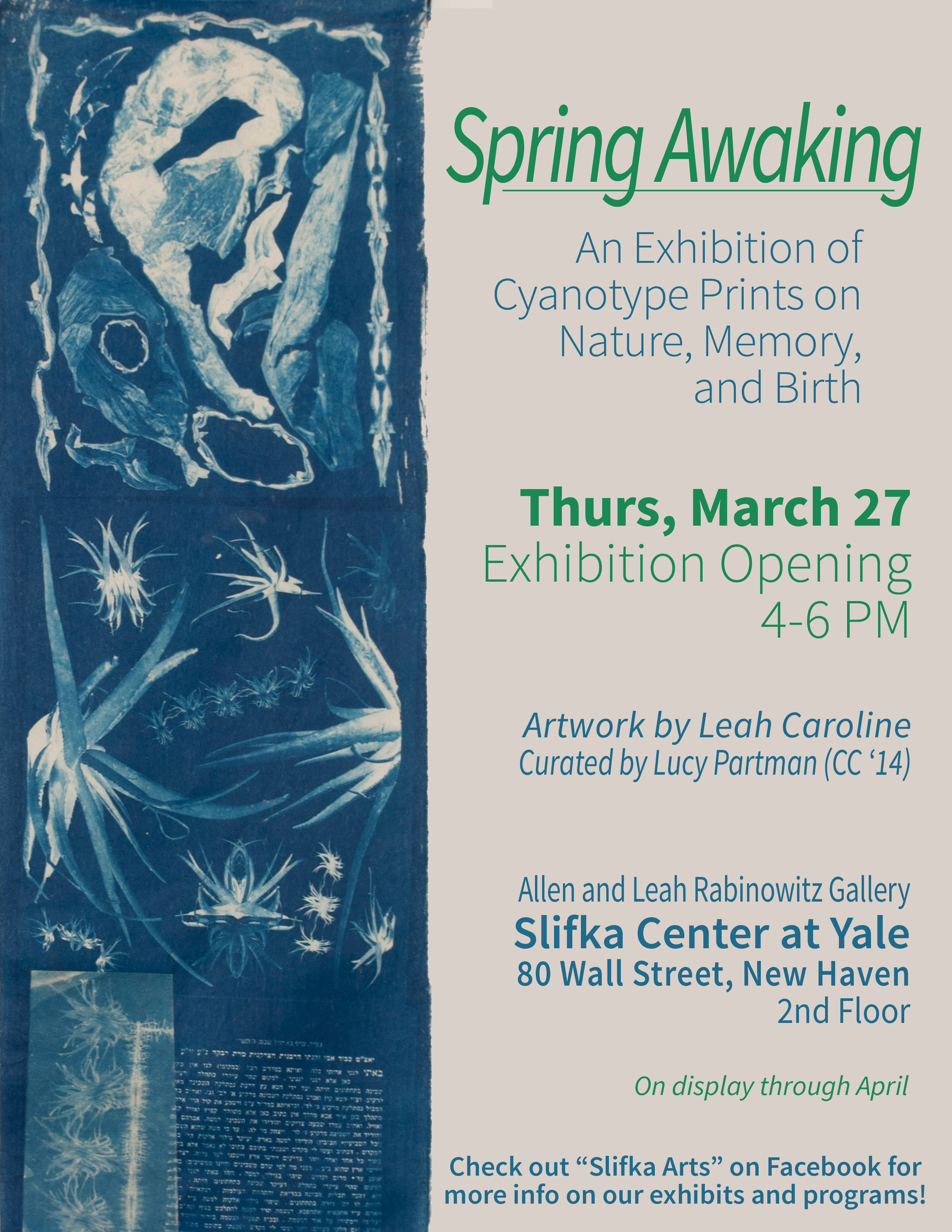 Spring Awaking, an exhibition of contemporary cyanotype photographs on view at Slifka Center through April.