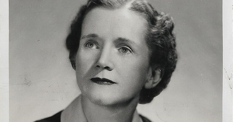 An Early Climate Advocate: Notecards in the Rachel Carson Papers ...