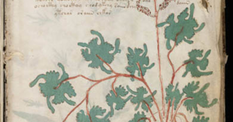 Voynich Manuscript | Beinecke Rare Book & Manuscript Library