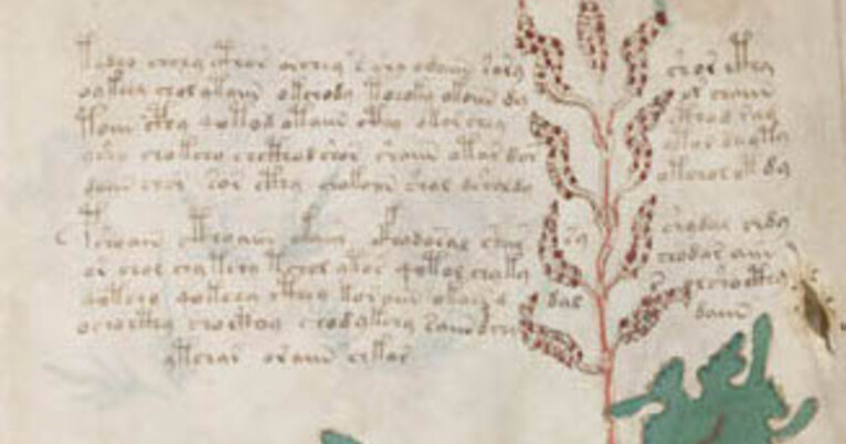 An Allegory of Salvation: Finding Jesus in the Voynich Manuscript